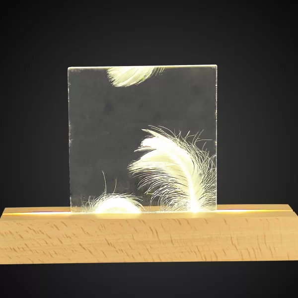 Feather Texture Sheet